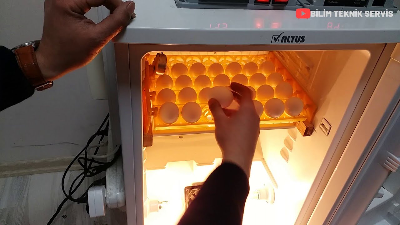 How to Make an automatic incubator ?
