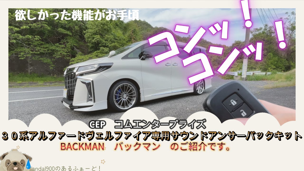アルヴェル30系　サウンドアンサーバックキット　BACKMAN　のレヴューになります。CEPコムエンタープライズ　お手頃な価格の商品がありましたよ！！  エレクトロタップ接触不良