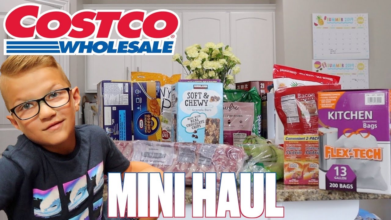 MINI SIZED COSTCO HAUL | COSTCO ESSENTIALS GROCERY AND HOUSEHOLD