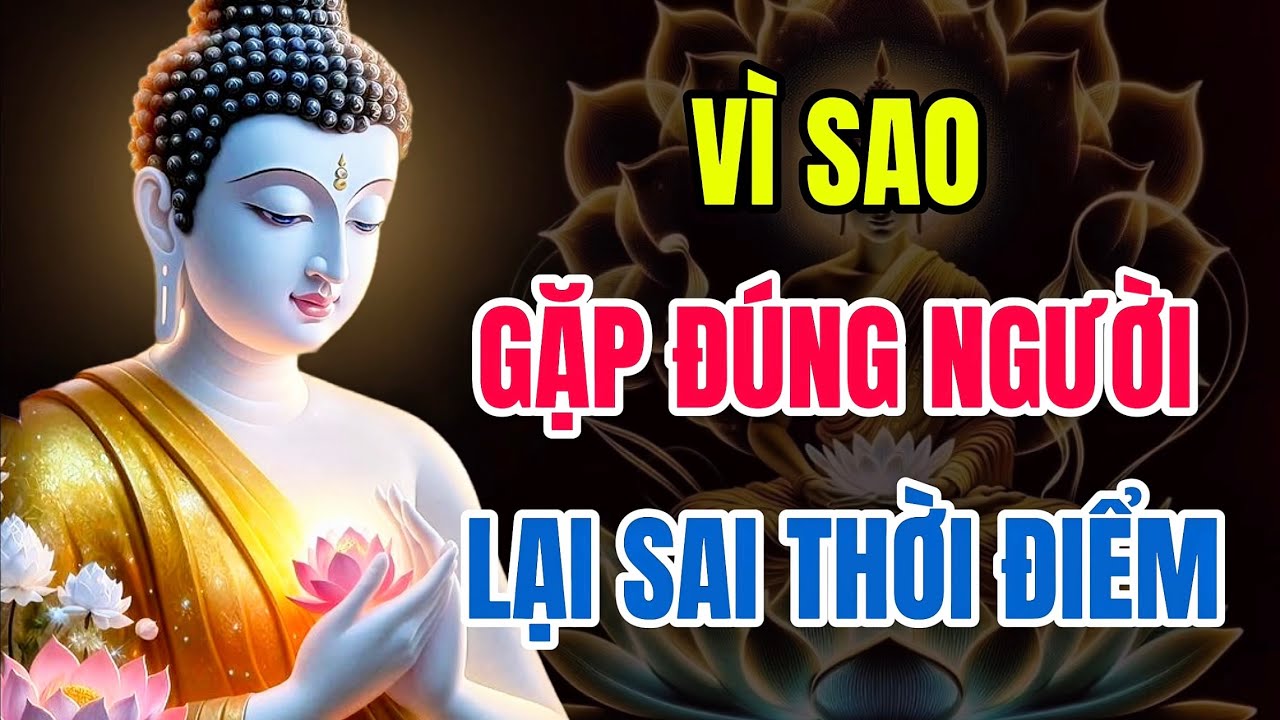 Gặp Đúng Người, Nhưng Sai Thời Điểm – Duyên Đến Mà Phước Chưa Đủ, Chỉ Có Thể Buông Nhẹ