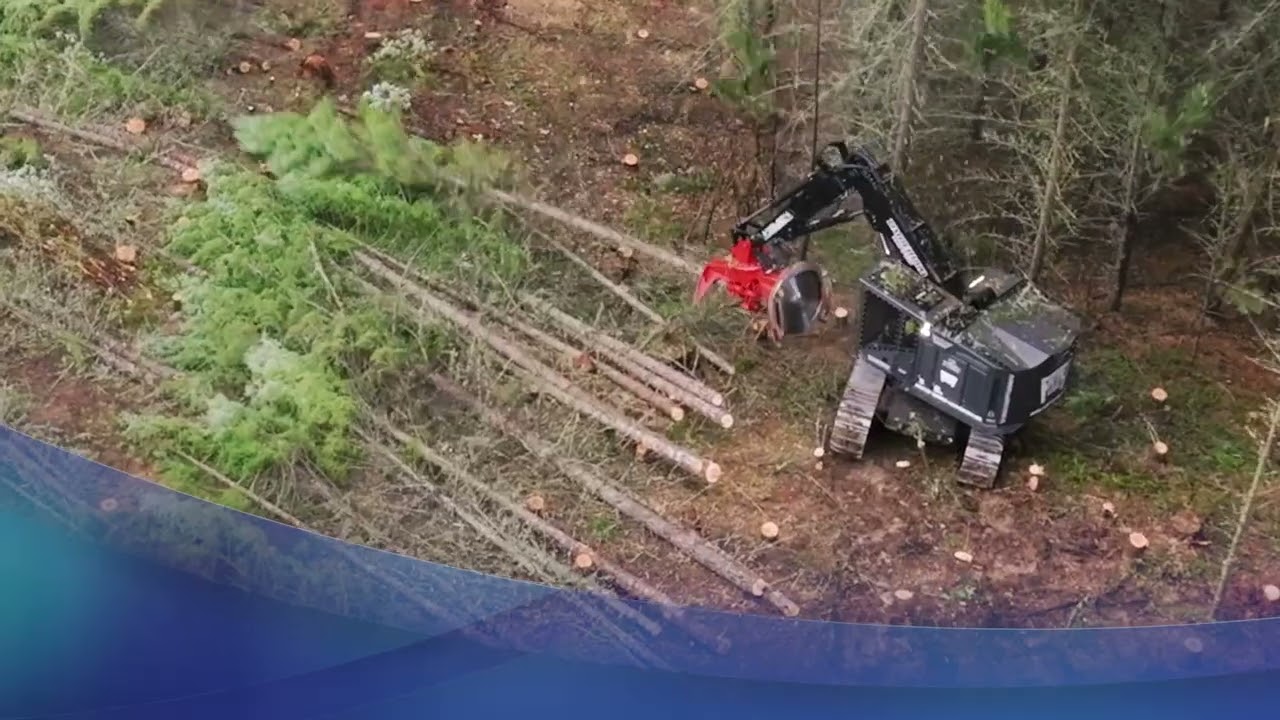 Timberpro TL775D feller buncher: Hydraulic power and control where it counts