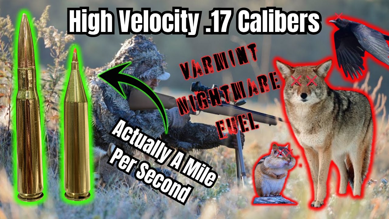 САМЫЕ БЫСТРЫЕ патроны в МИРЕ: .17 Caliber Edition