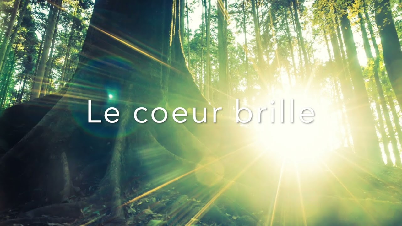 Méditation de ré-harmonisation matinale ou nocturne