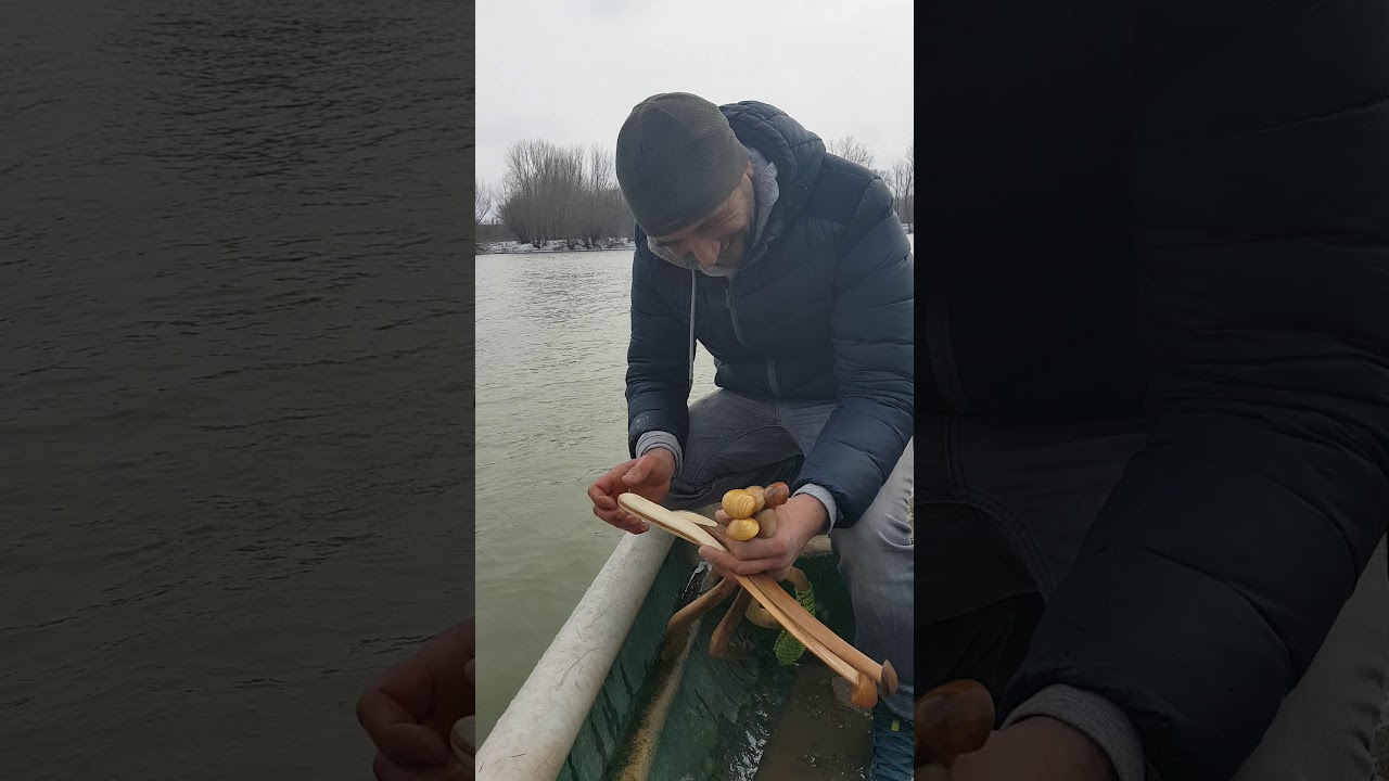 Test cloncuri cu Bogdan Munteanu -