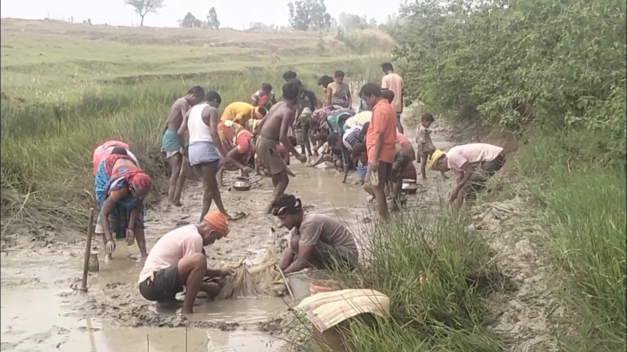 गांव की नदी में इतना सारा मछली कहां से आया   #fishing 🐟