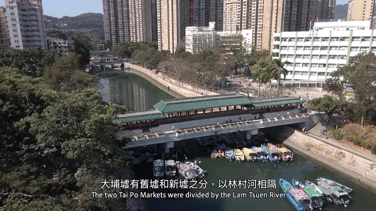 從前大埔有個墟？│Once Upon A Tai Po Market…