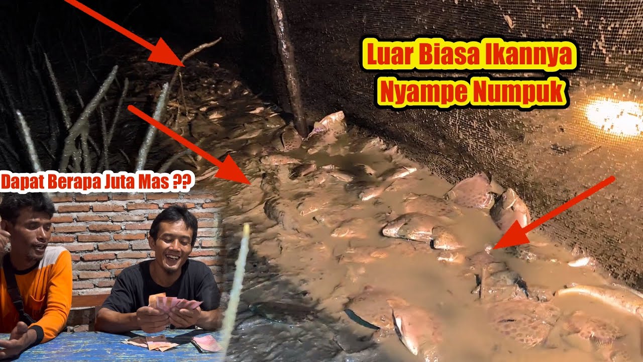 Ini Baru Luar Biasa !! Pasang Perangkap Dapat Banyak Ikan Udang Langsung Jual