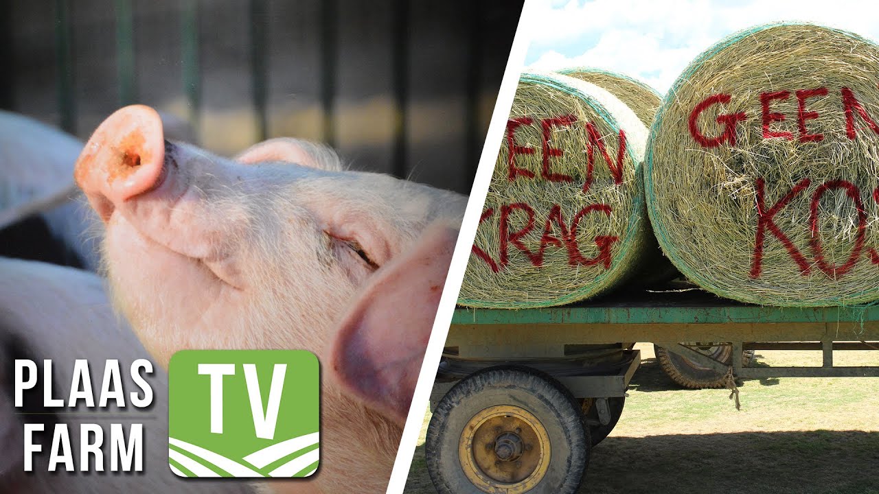 Besproeiingsboere in die Noord-Kaap trek saam: Plaas TV 1 Feb 2023