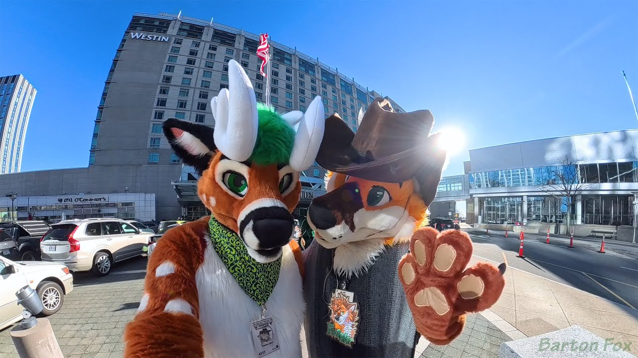 Anthro New England 2026 (ANE 2026) - Random Clips