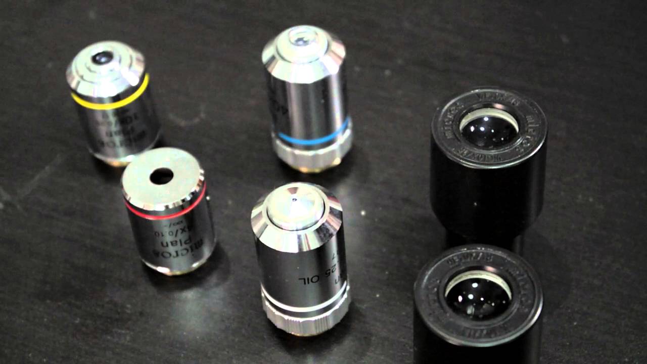 MANTENIMIENTO MCX51 MICROS AUSTRIA
