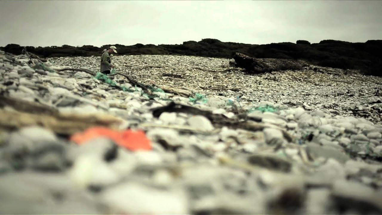 South West Marine Debris Cleanup - Tasmania