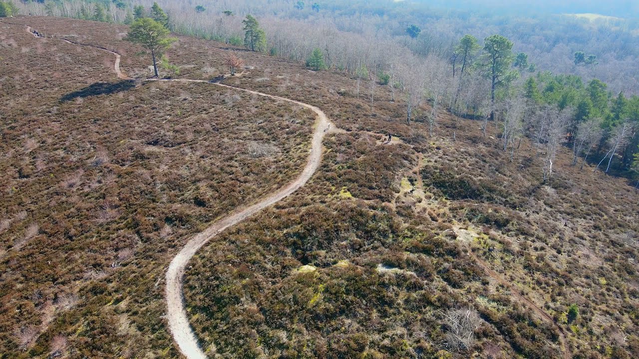 Foret de Rambouillet - Rochefort en Yvelines - DJI Mavic Air 2