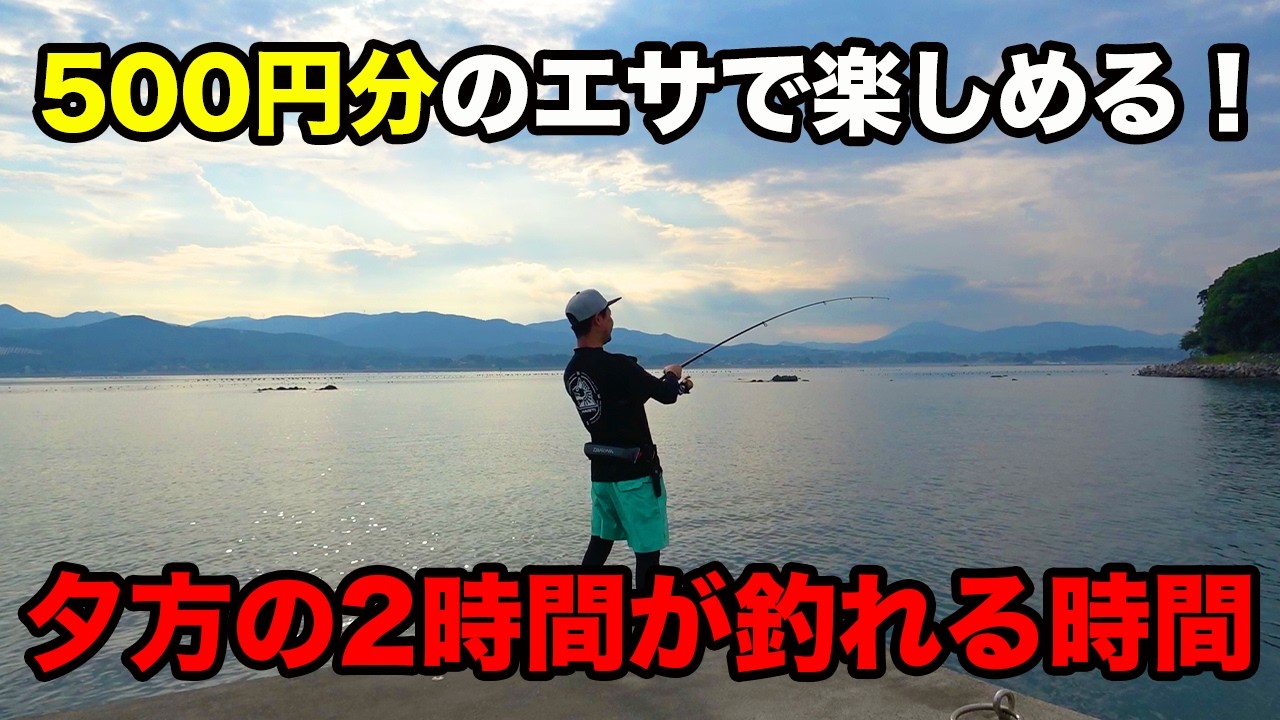 夕方の2時間が釣れすぎる？！堤防からのちょい投げ釣りで良型キスが連発！