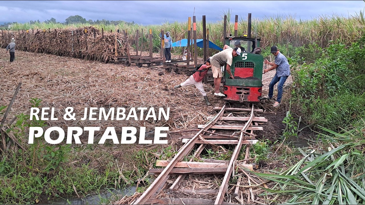 Sempat AMBLES, Lokomotif Lanjut menarik Lori Isian Panjang keluar dari kebun