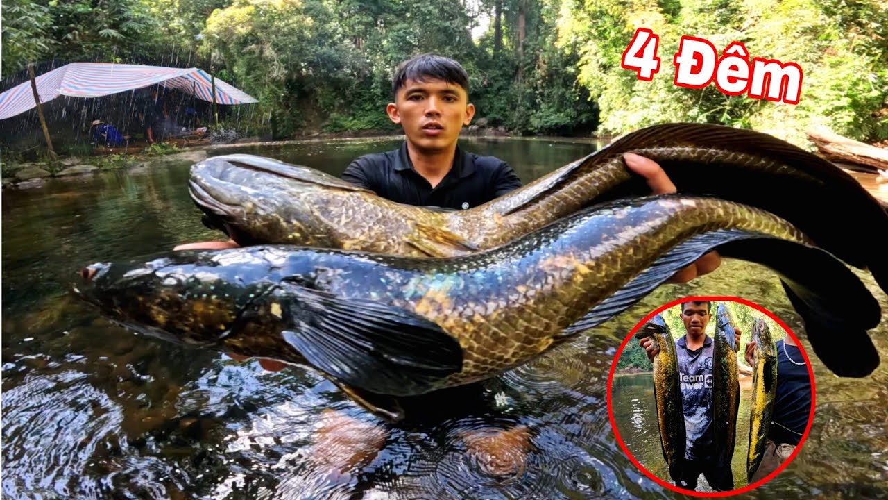 RỪNG THIÊN CAMPUCHIA | Và Loài CÁ SĂN Mồi Bí Ẩn 4 Đêm Ngủ Rừng Săn Cá Suối Mùa Khô !