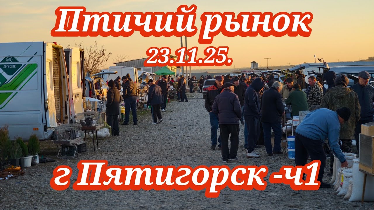 Голуби цены Птичий рынок г Пятигорск -ч1