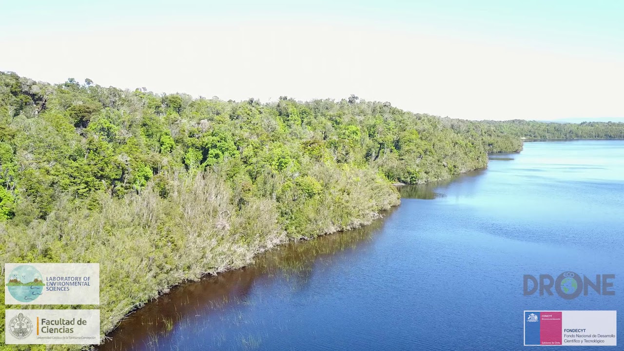 Laguna Reñihue 2018  [drone]