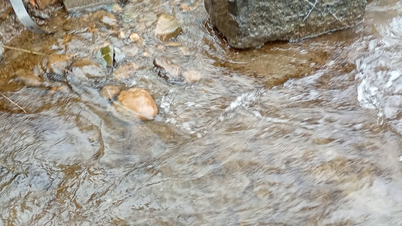 Trempette à la rivière 3 Février 2026