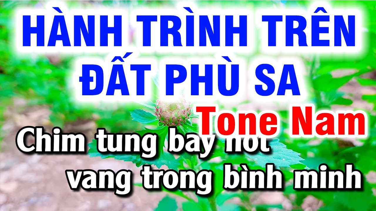 Karaoke Hành Trình Trên Đất Phù Sa Tone Nam Nhạc Sống Cha Cha | Hoài Phong Organ