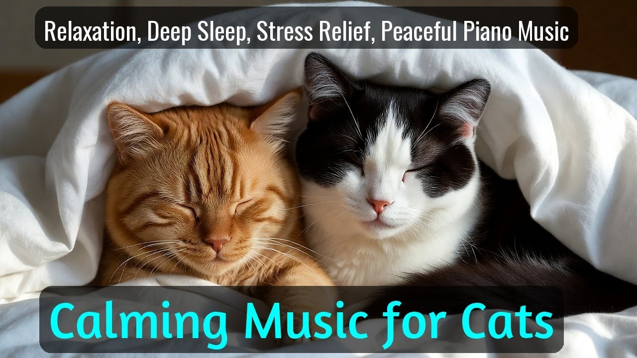 Calming Music for Cats - Relaxation, Deep Sleep, Stress Relief, Peaceful Piano Music | Season 42