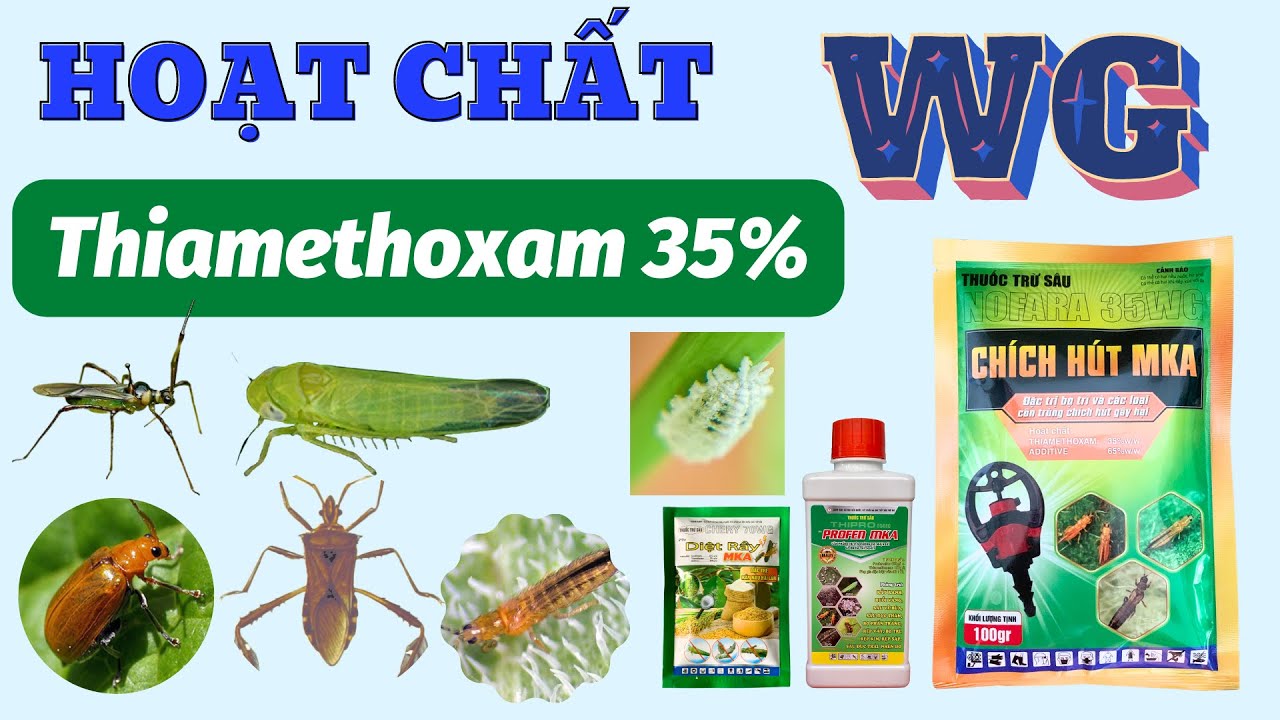 Hoạt chất Thiamethoxam 35% dạng cốm WG có ưu điểm gì? | Sử dụng giai đoạn hoa được không?