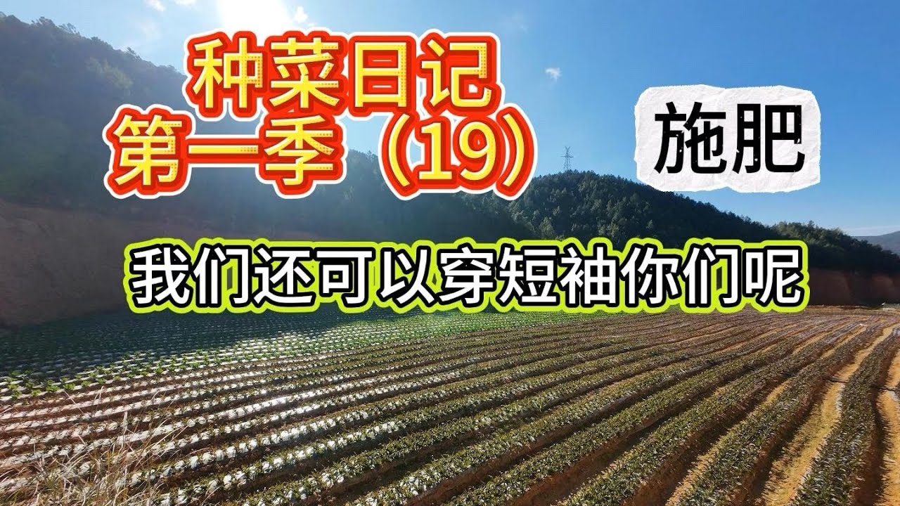 种菜日记第一季19#记录乡村种地生活#记录真实生活 #田园生活 #种菜