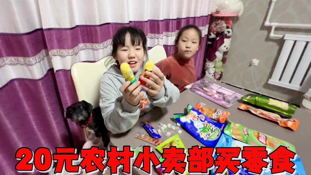 艾米农村小卖部买零食，满满一袋花费不到20元，吃完就往厕所跑