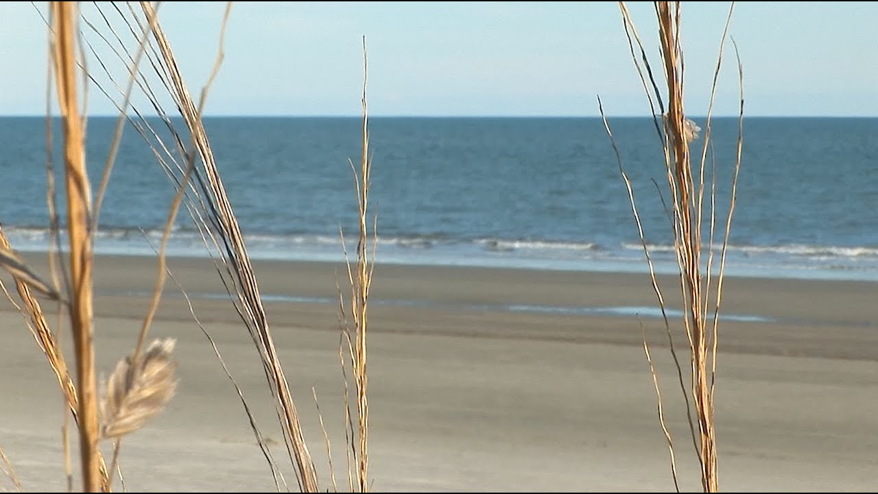 Your Favorite Ocean Front Getaway Villa on Hilton Head at Coligny Beach Park