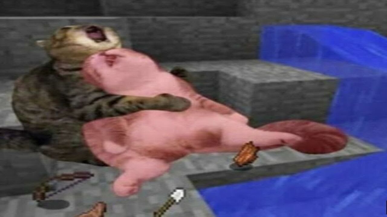 Random bad quality Memes V-69