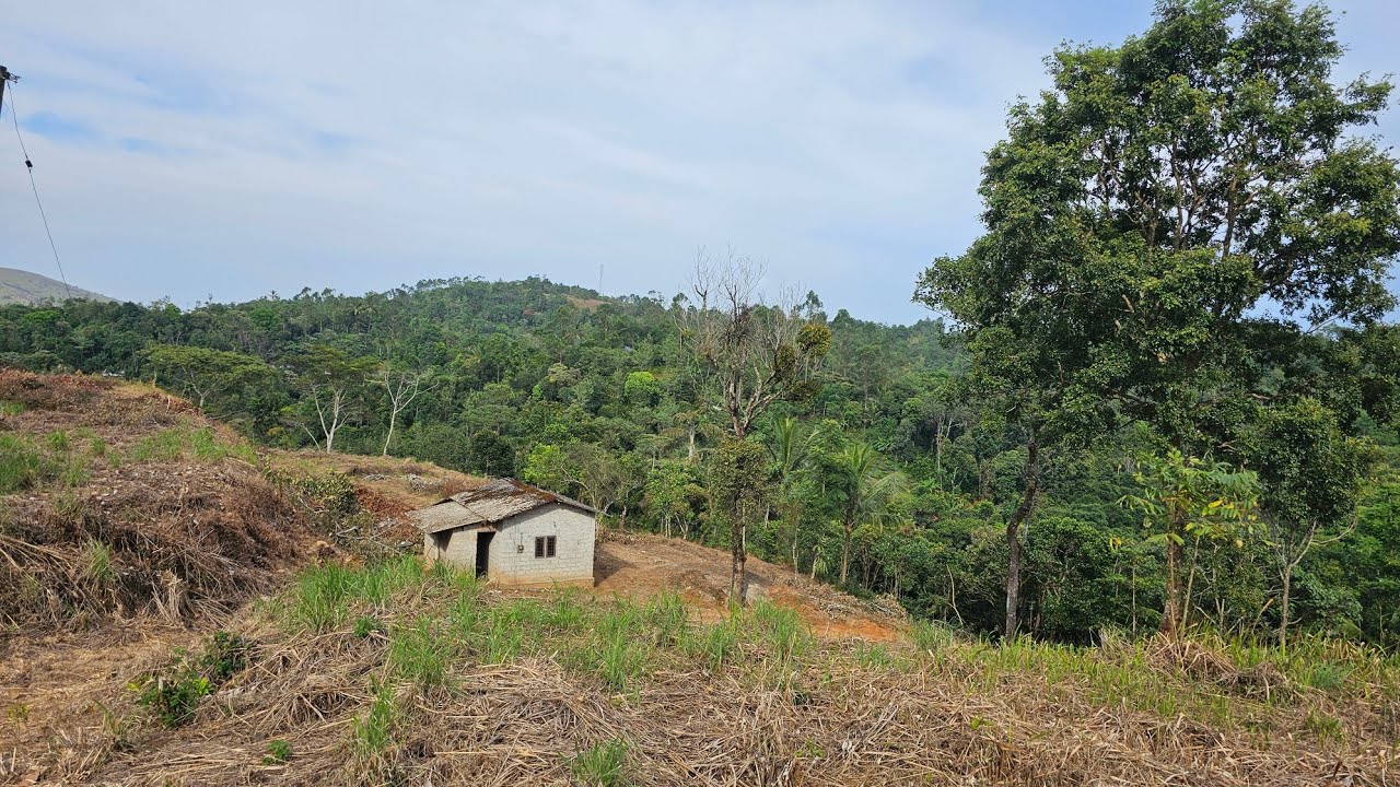 5 Acre land for sale in Vagamon | Suitable for Resort | 9961178823 | Vagamon Real Estate. Hot Deal🔥🤝