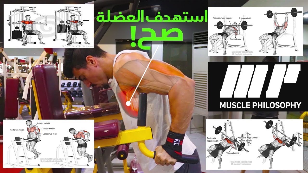 اقوى تمارين عضلة الصدر الاساسية! لازم تلعبها!
