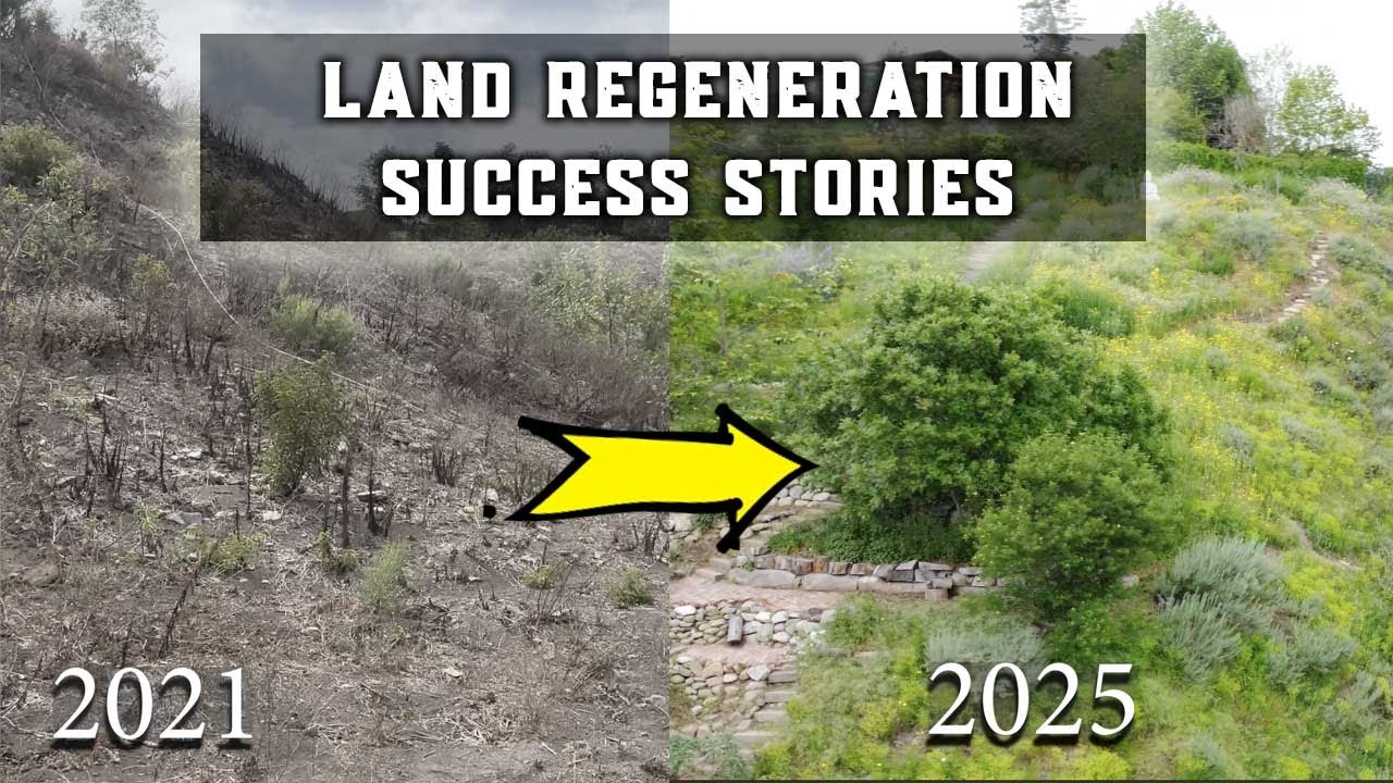 Epic Landscape Transformation Success Stories