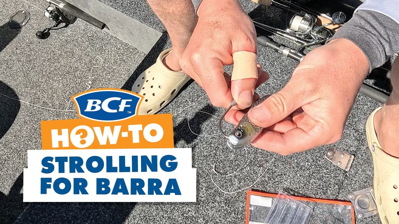 Strolling Lures for Impoundment Barramundi!