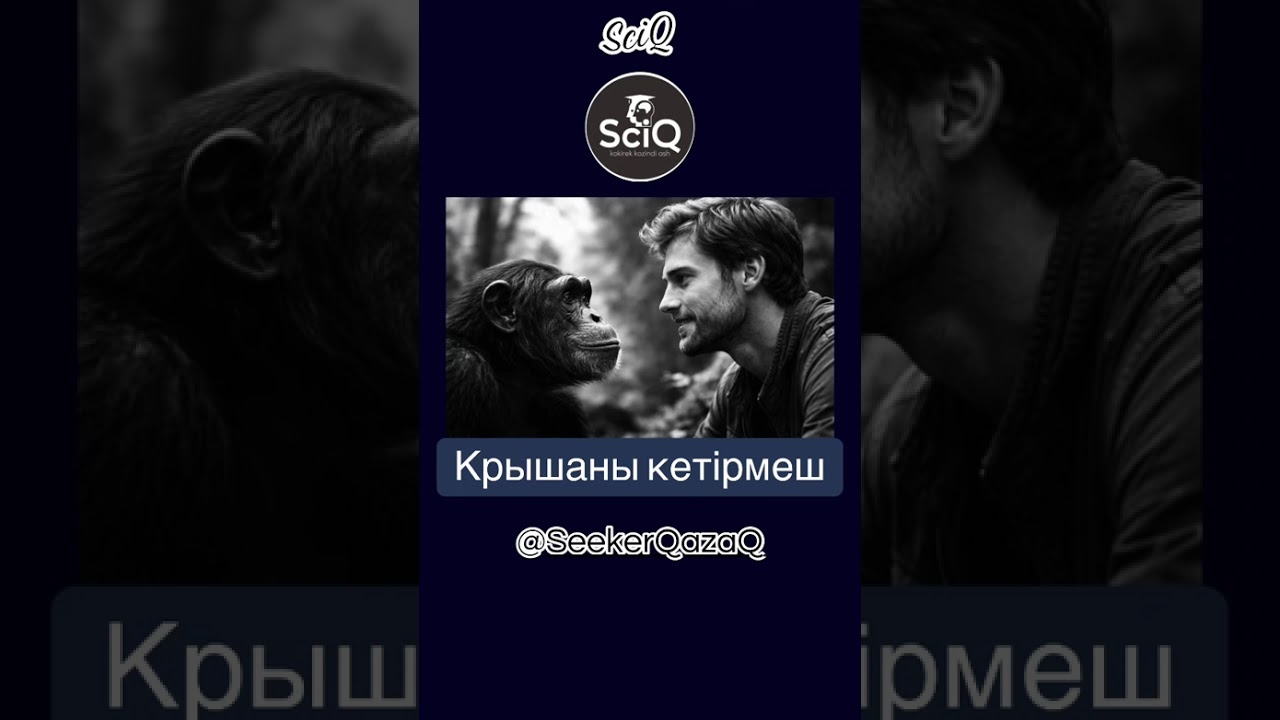 Крышасы кете беретін мұсылман!!!
