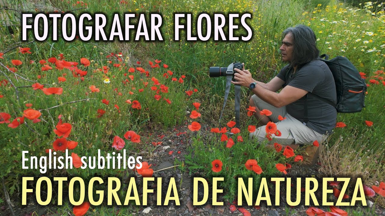 FOTOGRAFAR PAPOILAS | FOTOGRAFIA DE NATUREZA