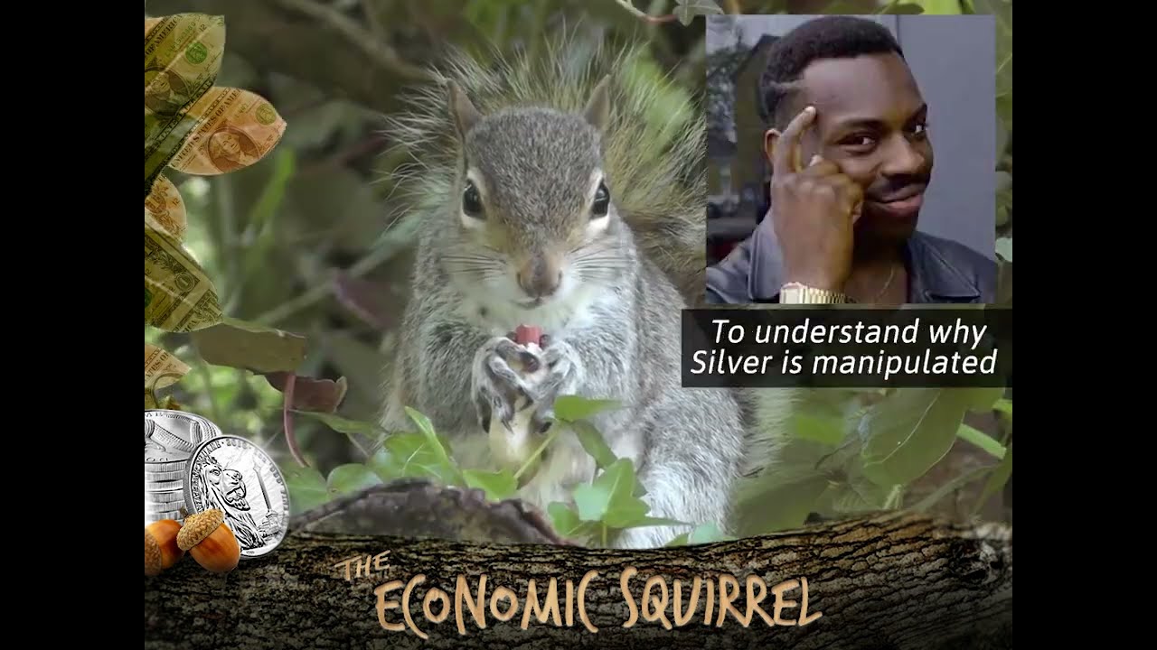 The Economic Squirrel explains the Silver Squeeze