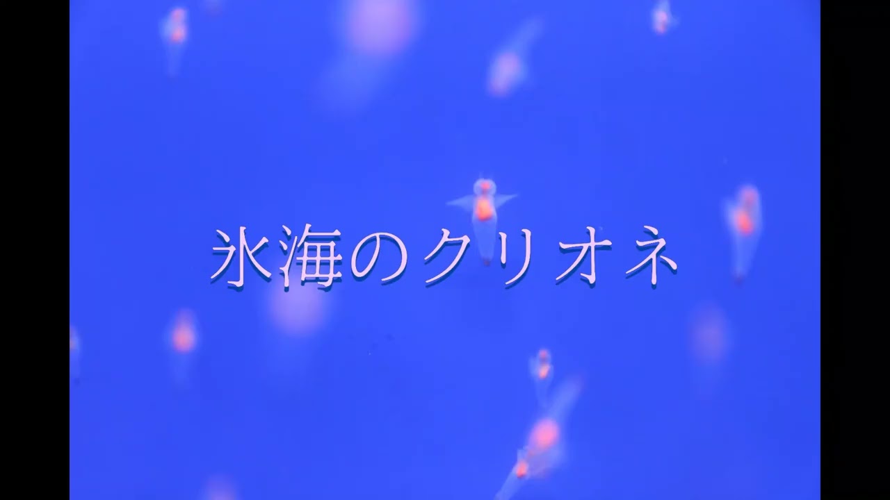 【癒しの自作曲】氷海のクリオネ