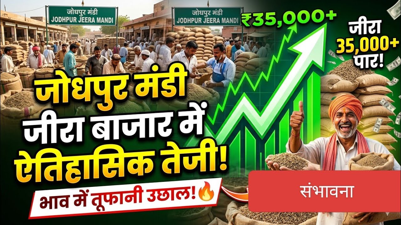 जोधपुर मंडी जीरा बोली लाइव आज जोरदार तेजी 18/03/2026 देखें पुरा विडियो शेयर करें
