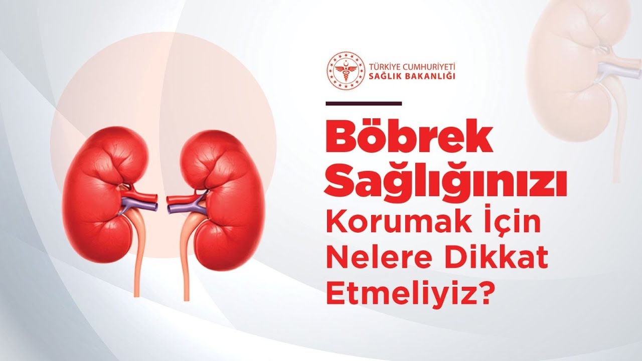 Böbrek Sağlığını Korumak İçin Nelere Dikkat Etmeliyiz?
