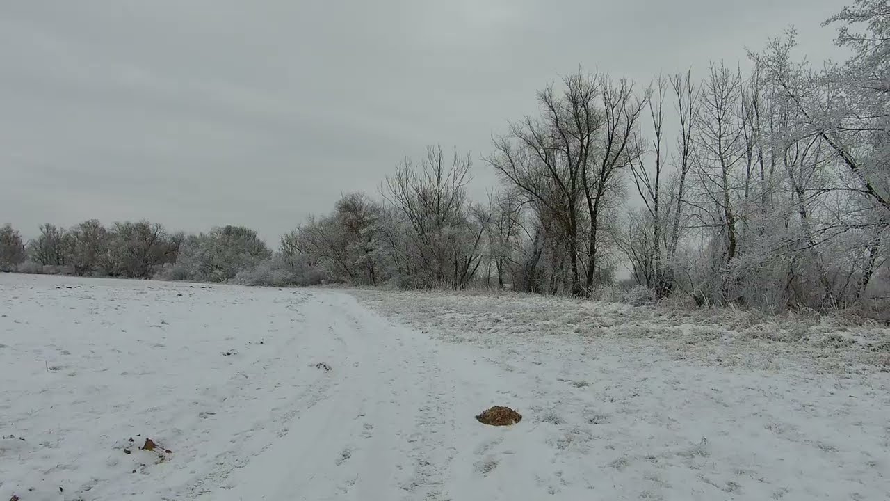 Opactwo Cystersów w Lądzie–Starorzeczne Kolano (początek: Lądek) 12