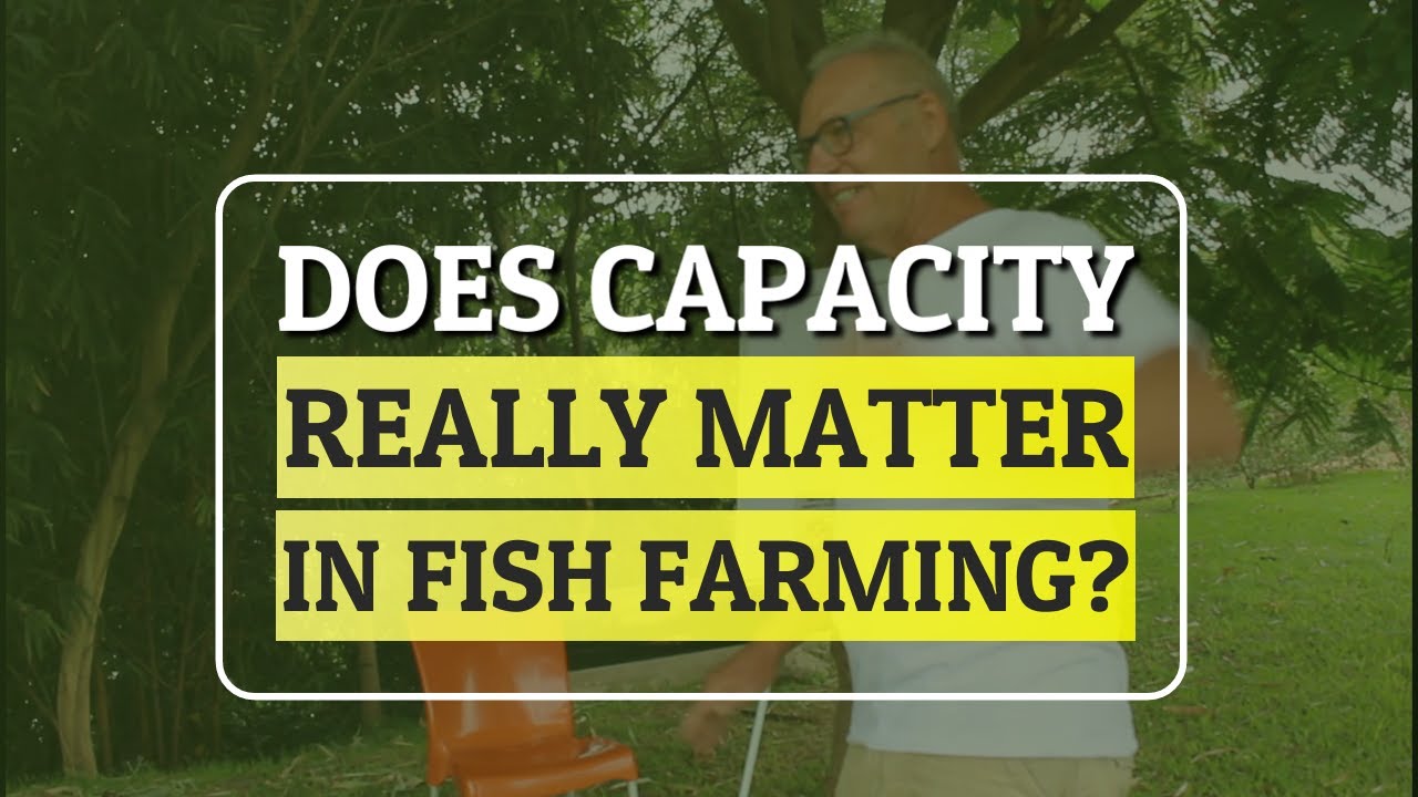 Does Capacity really Matter in fish farming? Here is an Expert's Opinion!