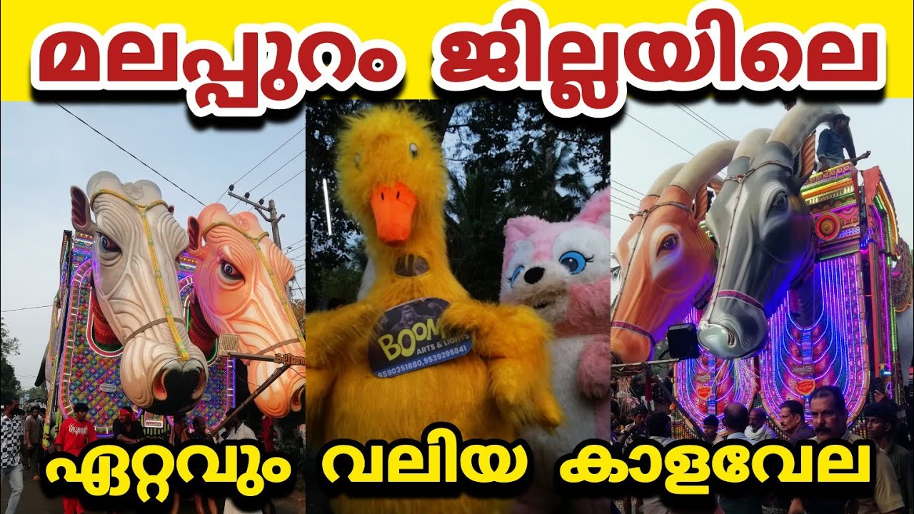 Vairankod valiya theeyatt 2026 | vairankod kalavela 2026 | വൈരങ്കോട് കാള വേല 2026