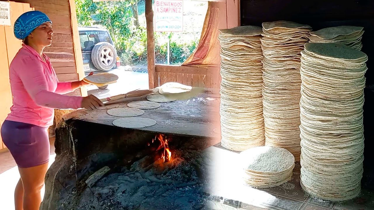 Haciendo casabe dominicano en el campo, una tradición familiar, la vida del campo es saludable