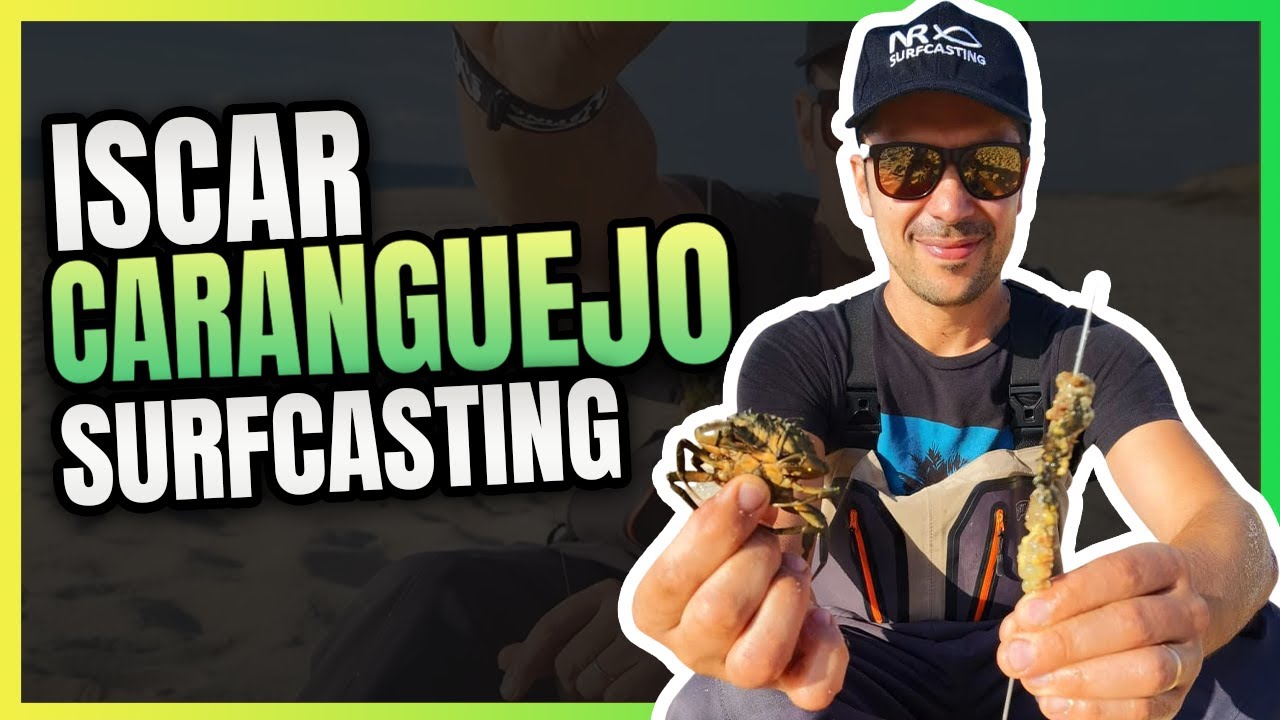 Iscada de Caranguejo 2 cascos Surfcasting