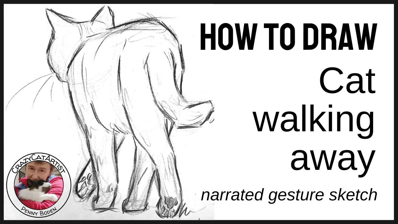 How to Draw Cat Walking Away from Behind, back semi side view, rear end standing full body with paws