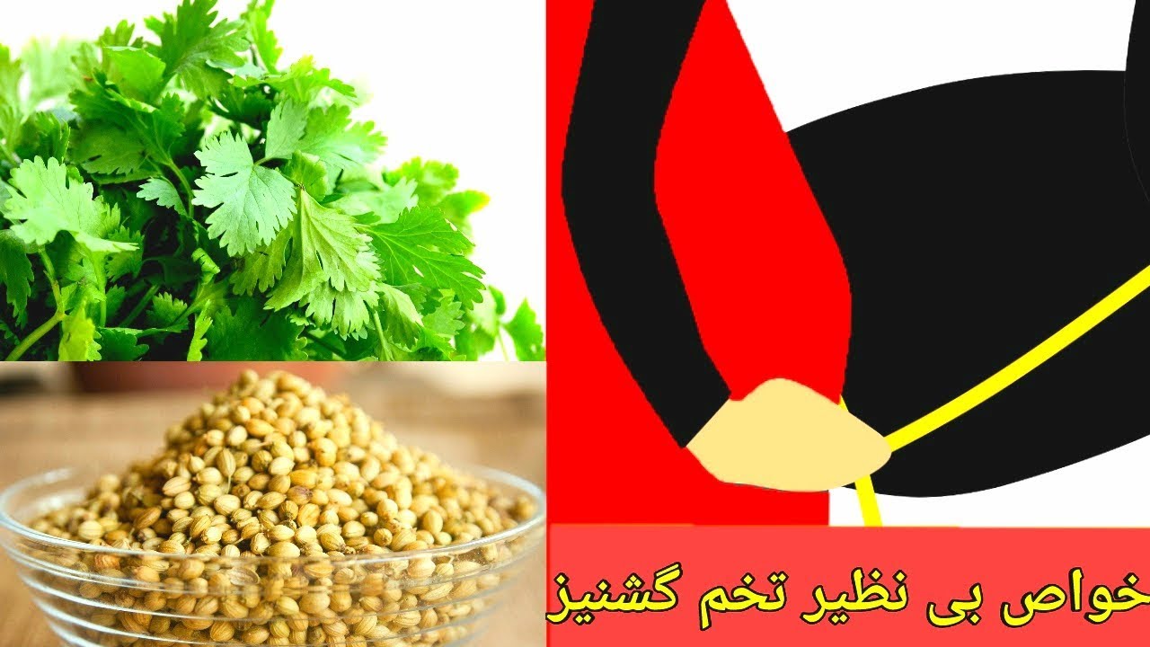 خواص تخم گشنیز که از شنیدن آنها شگفت زده خواهید شد