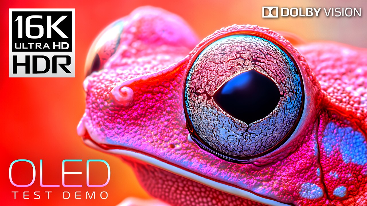 INSANE Beauty in 16K HDR 120fps Dolby Vision (4K / 8K Video TV TEST)