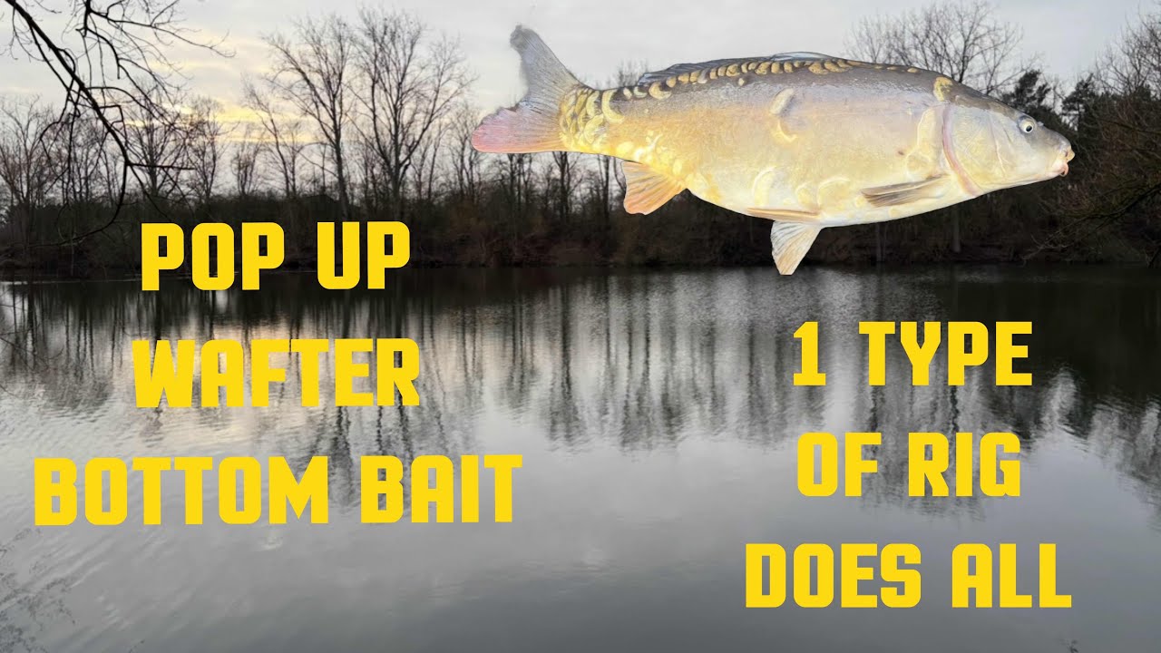 Can you CATCH CARP on pop ups,wafters and bottom baits on one type of RIG ?