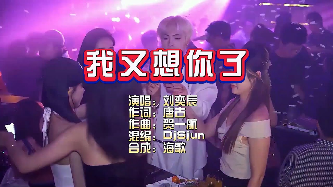 刘奕辰《我又想你了》DjSjun FunkyHouse Rmx KTV 导唱字幕 （备有伴奏视频）