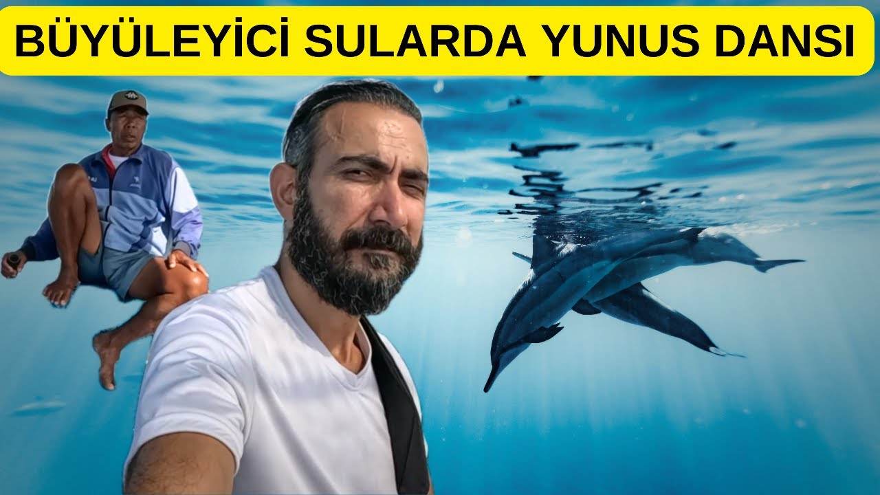 Bali'nin Büyüleyici Sularında Yunusların Dansı + Termal Volkanik Sıcak Su Tedavisi